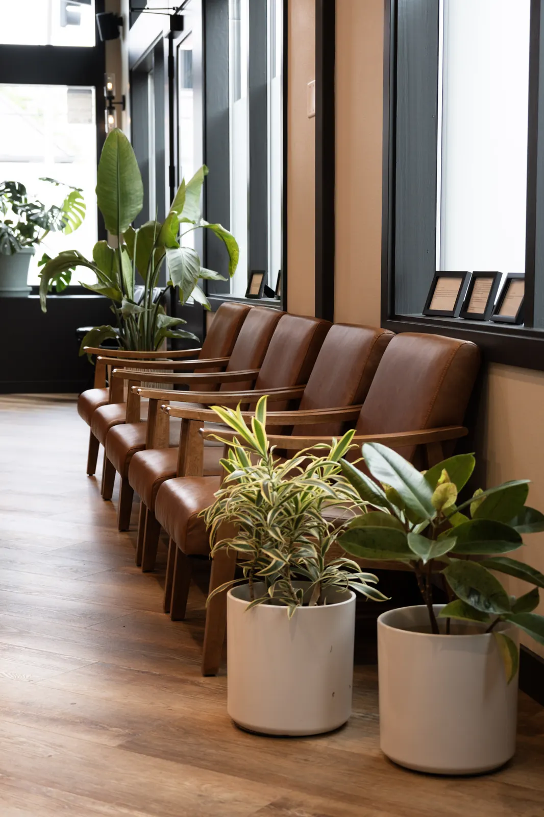 Patient waiting area at Envision Chiropractic — wellness-focused Bellingham chiropractor