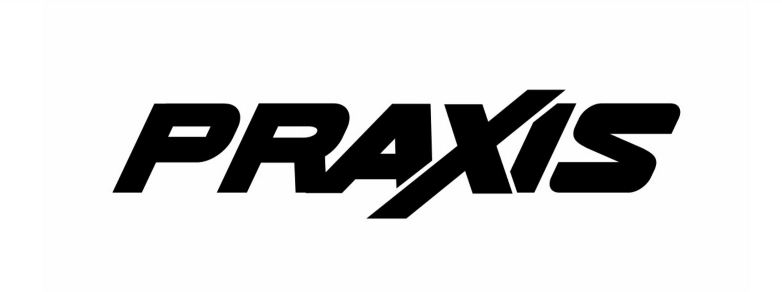 Praxis Physiotherapy logo